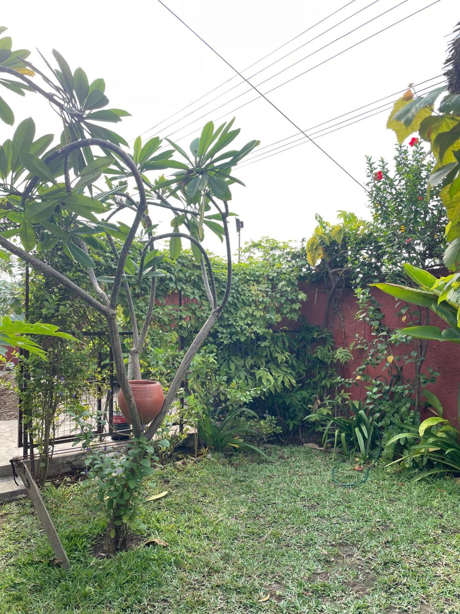 Hechtech House Apartment Accra Ngoại thất bức ảnh